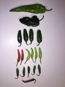 Hot Peppers