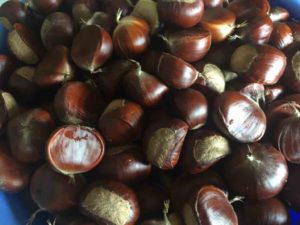 Chestnuts