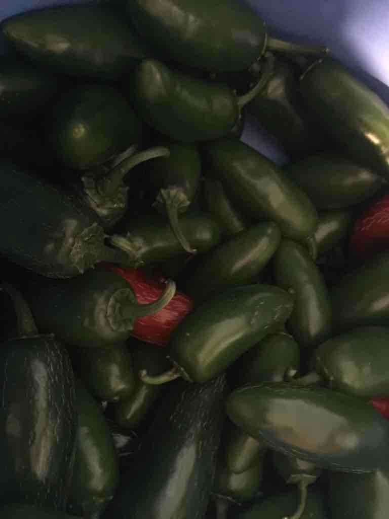 Jalapeño Peppers
