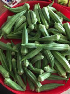 Fresh Okra