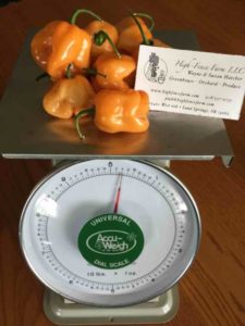 Orange Habaneros