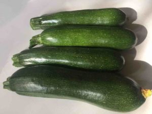 Zucchini